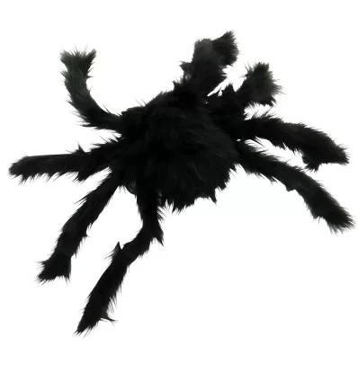 Kæmpe sort edderkop